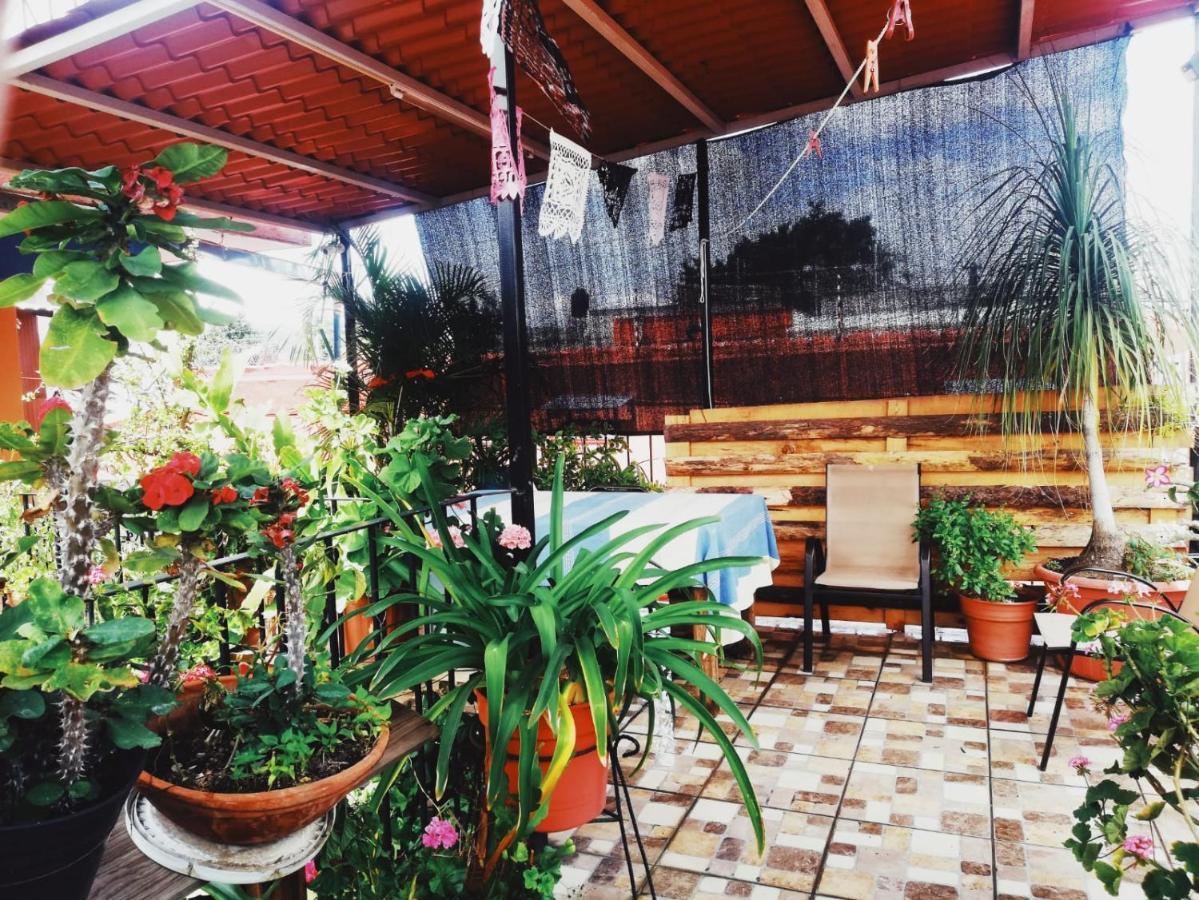 El Rincon De Dona Bety Ξενοδοχείο Oaxaca Εξωτερικό φωτογραφία